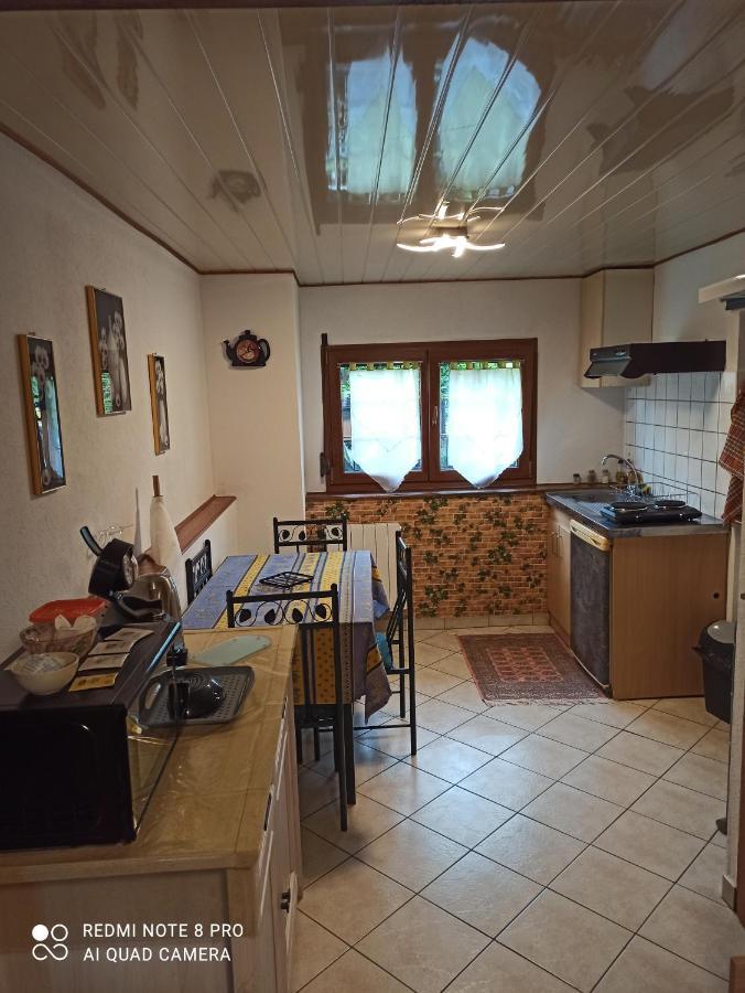 Apartament Le Bien Vivre Wittenheim Zewnętrze zdjęcie